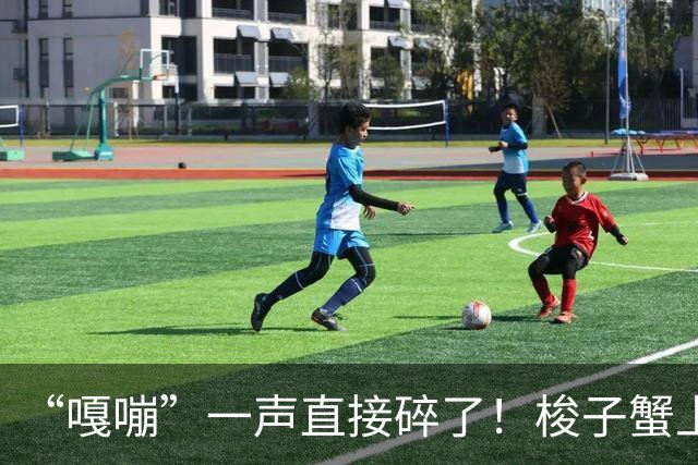 “嘎嘣”一声直接碎了！梭子蟹上市，第一批“受害者”已出现