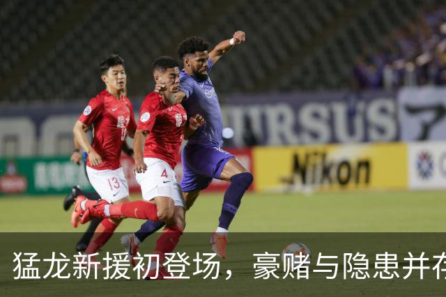 猛龙新援初登场，豪赌与隐患并存