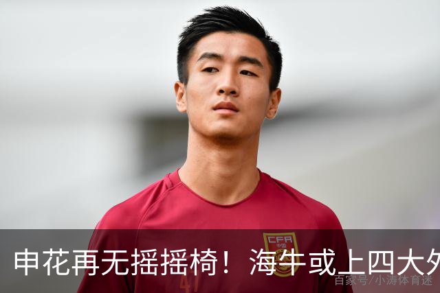 申花再无摇摇椅！海牛或上四大外援摧花 前国脚：这套阵容踢中甲都困难