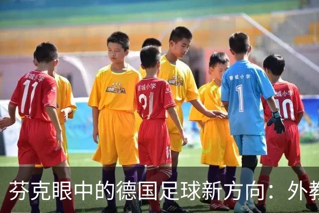 芬克眼中的德国足球新方向：外教不如快上！